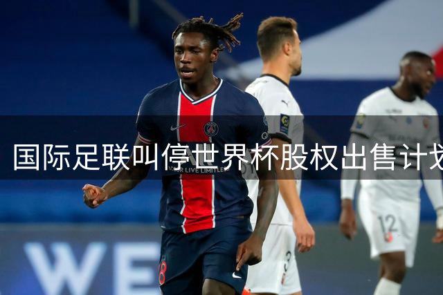 国际足联叫停世界杯股权出售计划