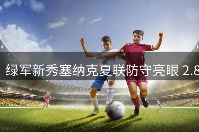 绿军新秀塞纳克夏联防守亮眼 2.8次盖帽展现禁区统治力